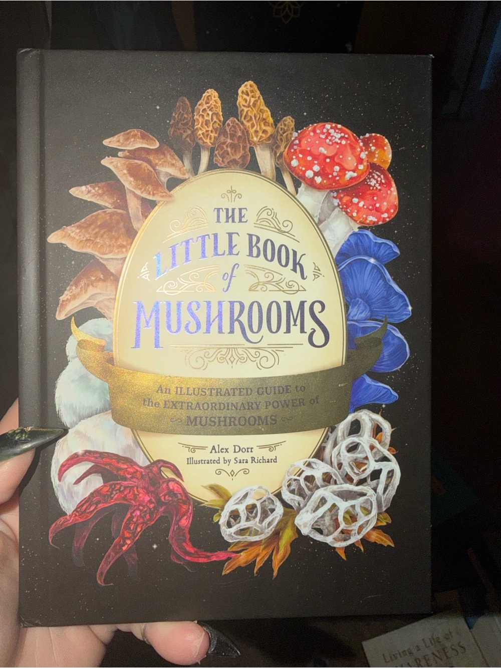 The Little Book of Mushrooms by  — Black Decorative Hardcover